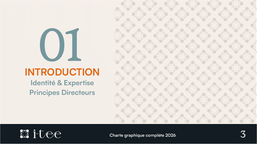 charte graphique panépolis introduction