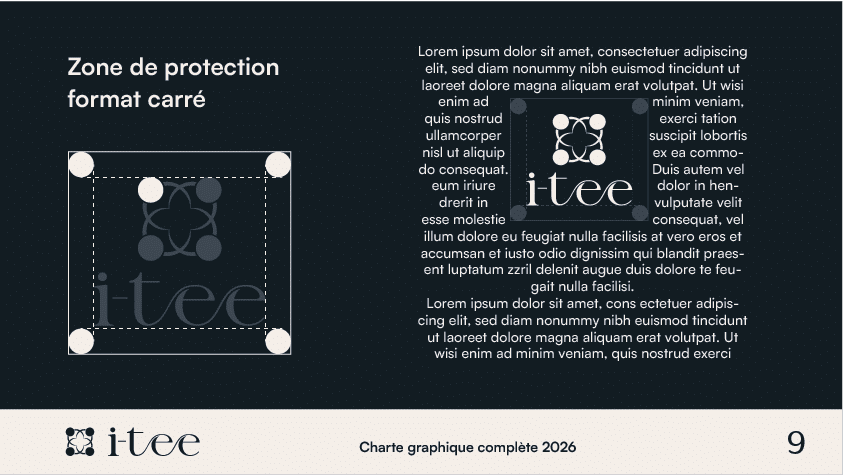 charte graphique panépolis introduction